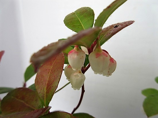 b0182884_23541381.jpg