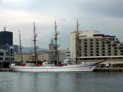 b0192588_820228.jpg