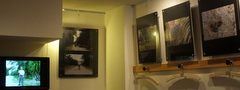 b0192588_8211322.jpg