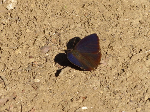 d0353091_14560145.jpg