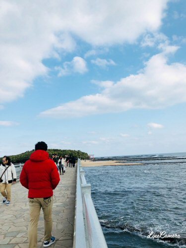 鵜戸神宮と青島神社　初詣_f0056297_09032059.jpg