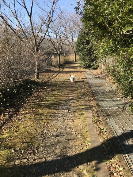 3月の気温だったらしいですよ。_a0155999_21481419.jpeg