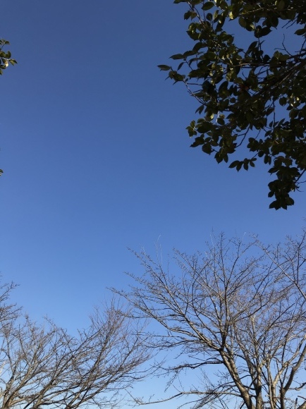 3月の気温だったらしいですよ。_a0155999_21493750.jpeg