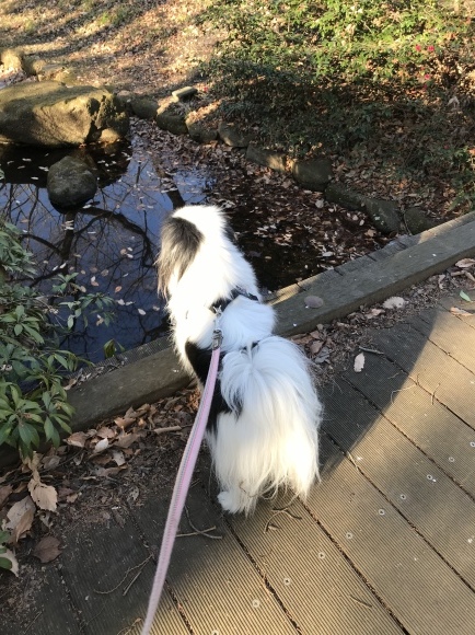 3月の気温だったらしいですよ。_a0155999_21515306.jpeg