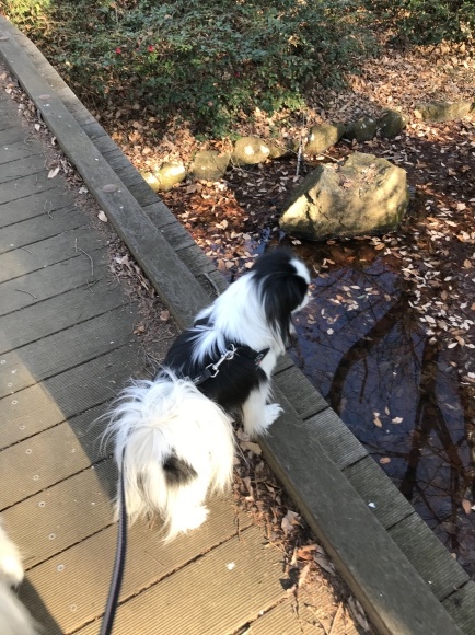 3月の気温だったらしいですよ。_a0155999_21521418.jpeg