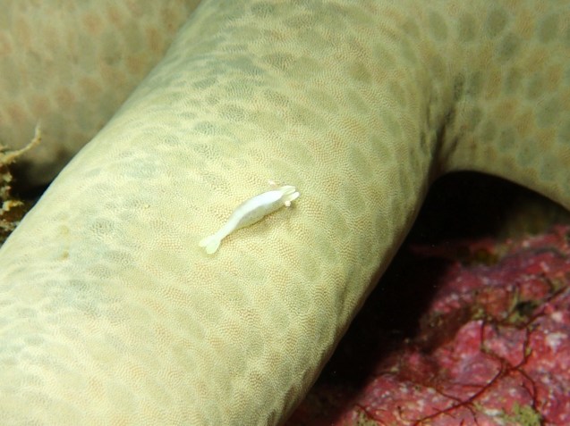 e0115199_17390421.jpg