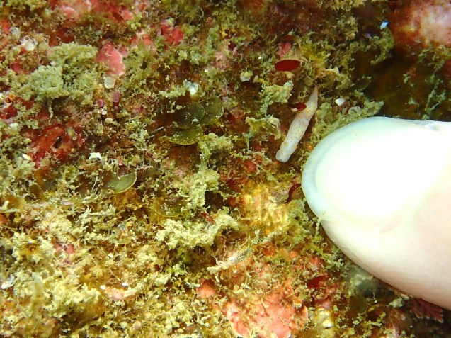 e0115199_17392679.jpg