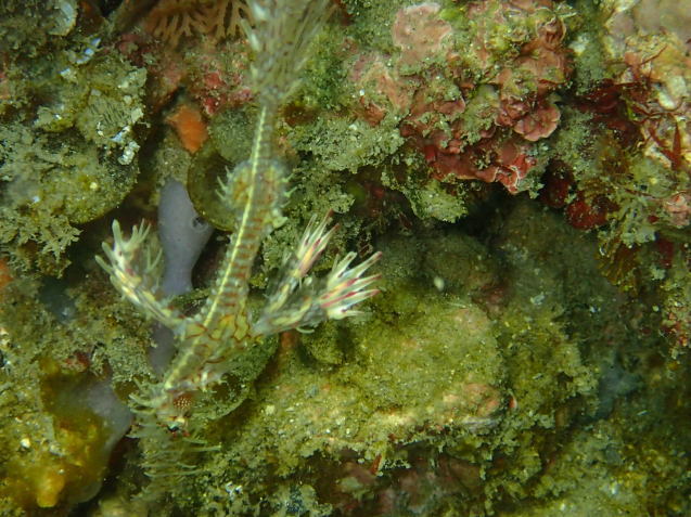 e0115199_17400621.jpg