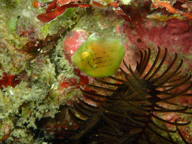 e0115199_17403542.jpg