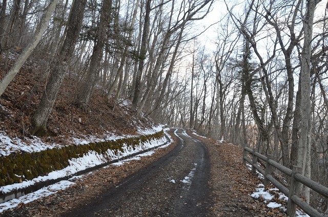 c0124100_16144265.jpg