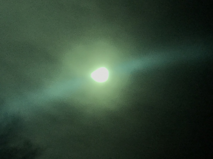 c0212604_1295883.jpg
