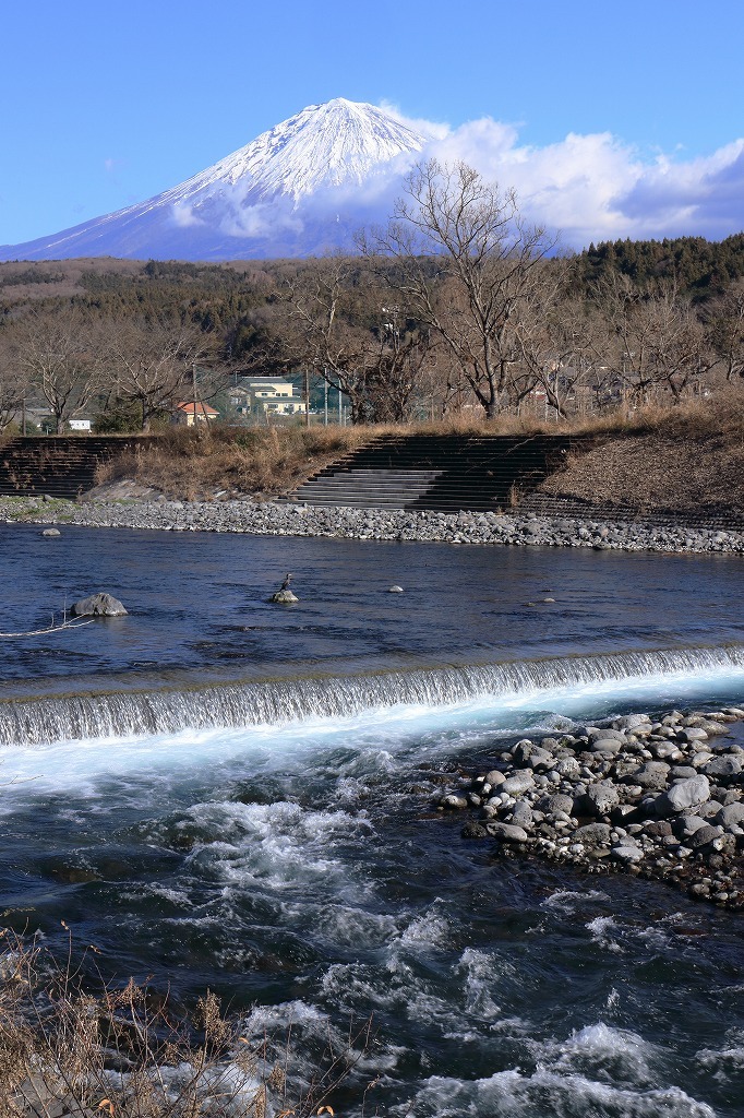 a0188405_00070322.jpg