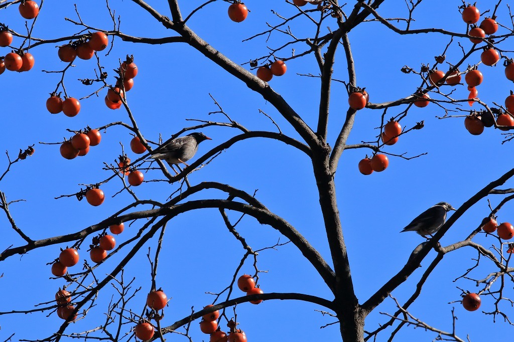 a0188405_00072408.jpg