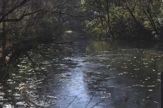 c0134805_11003804.jpg