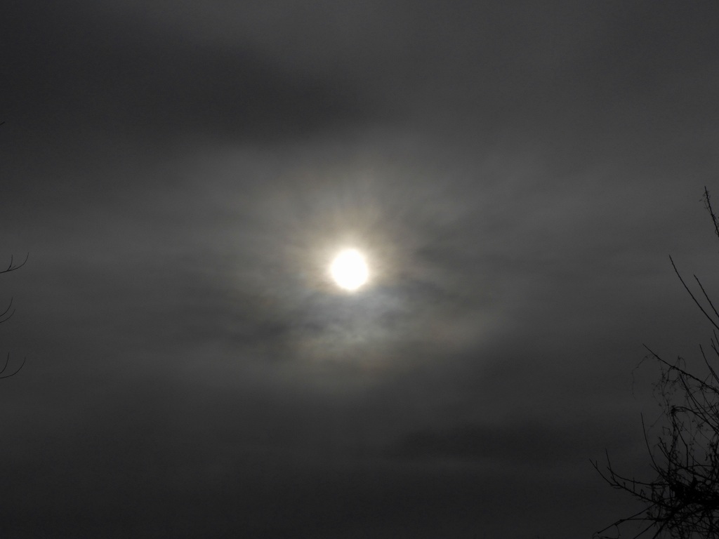 e0372207_17541406.jpg