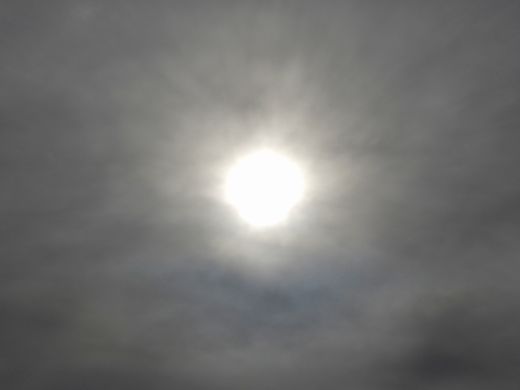 e0372207_17542775.jpg