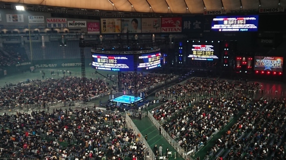 1・4 新日本プロレスWRESTLE KINGDOM 13 in 東京ドーム レポートVol.2_b0042308_11301451.jpg