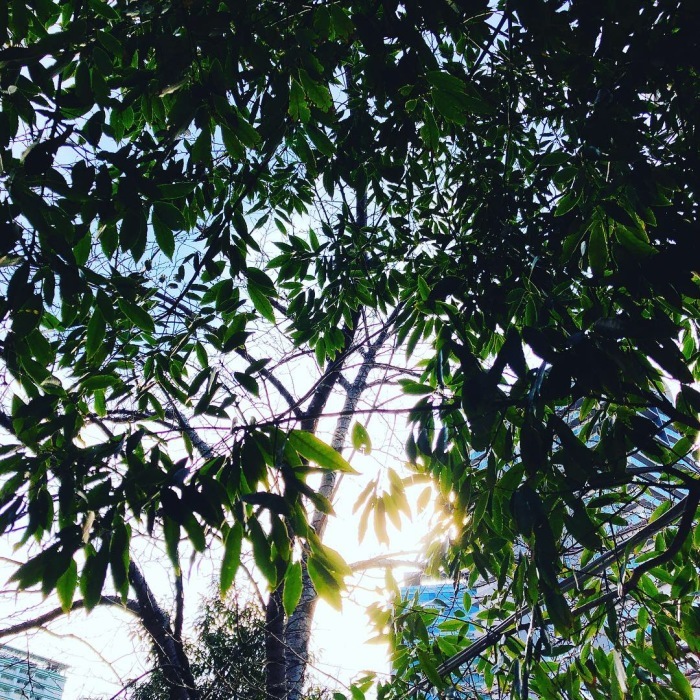 日蝕_d0138811_11114451.jpeg