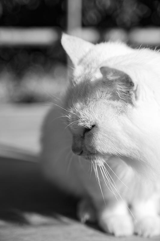 f0032011_17265218.jpg