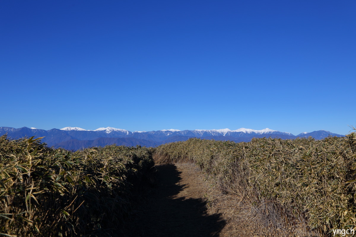 f0157812_10470958.jpg
