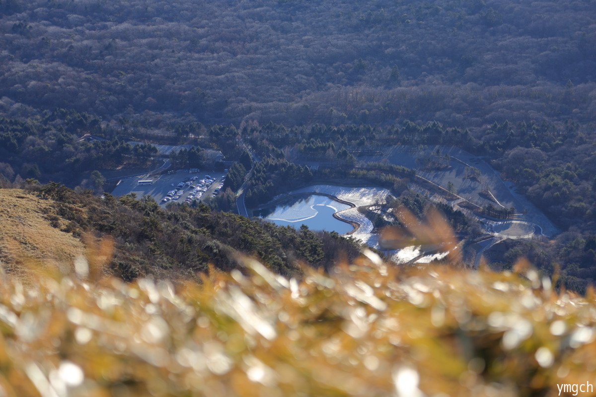 f0157812_10473171.jpg