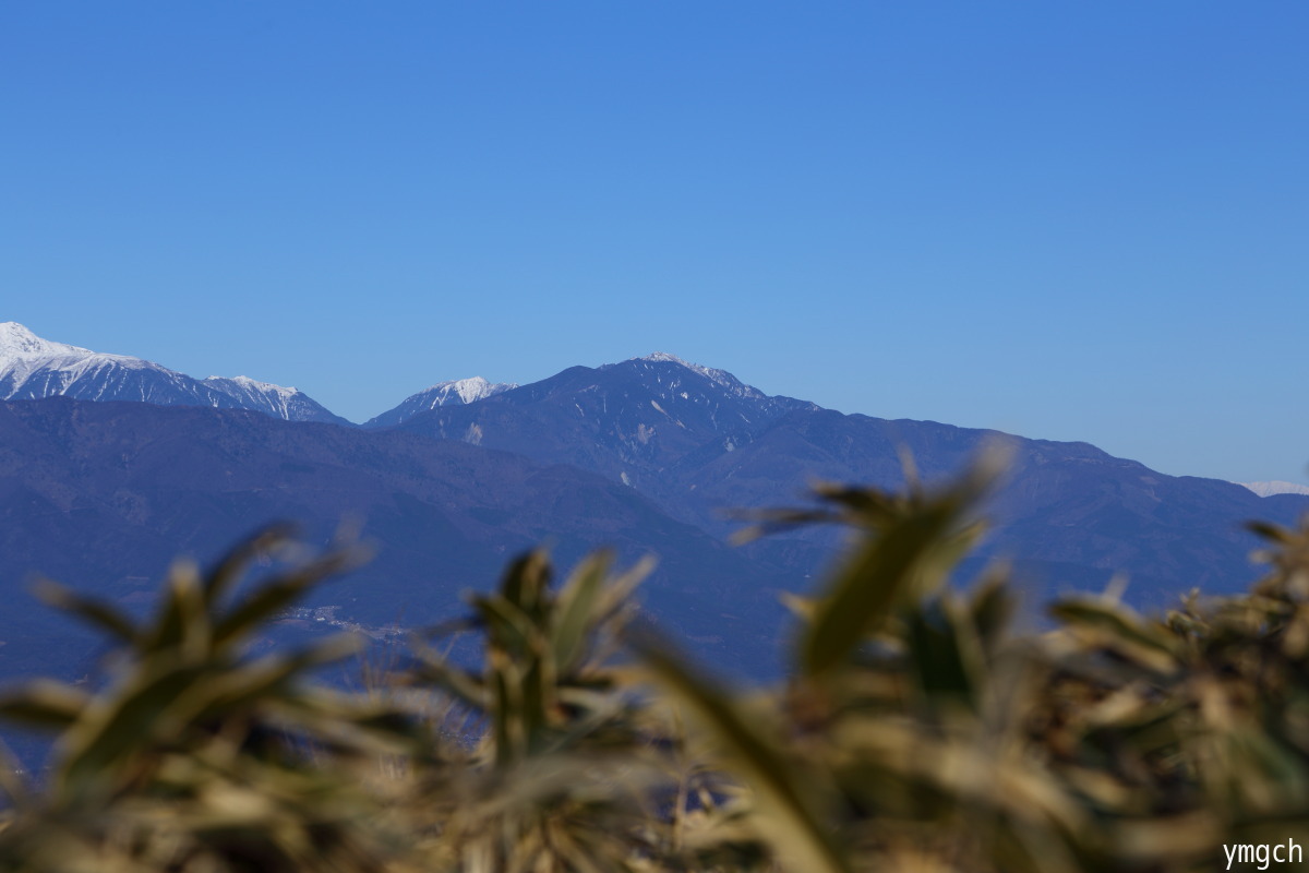 f0157812_10475234.jpg