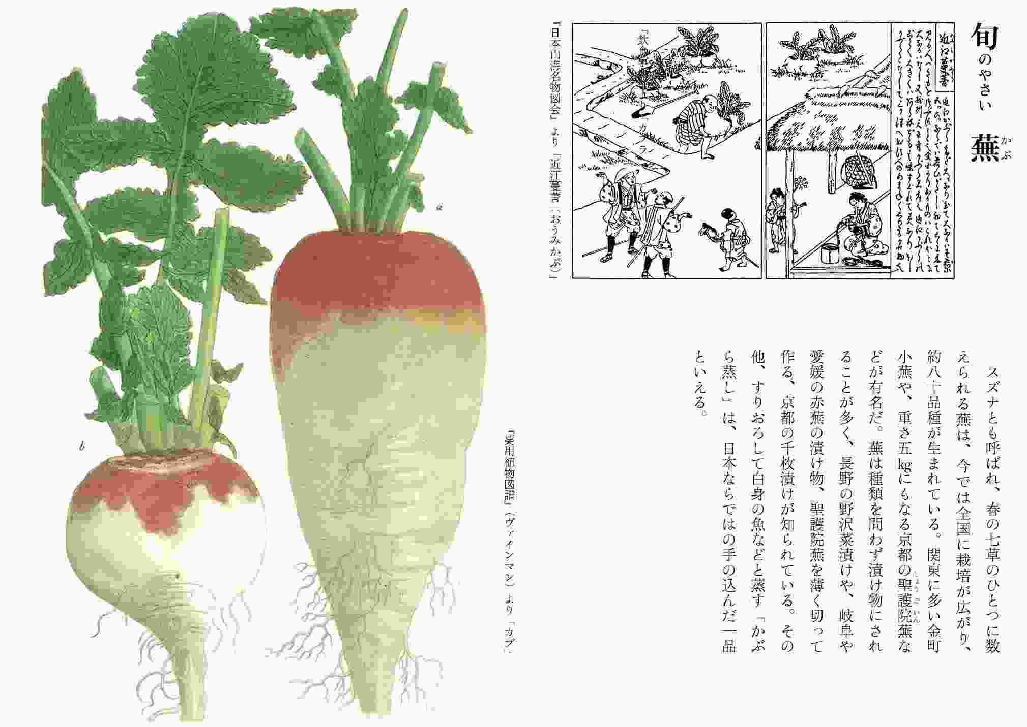 部分日食_c0025115_21092625.jpg