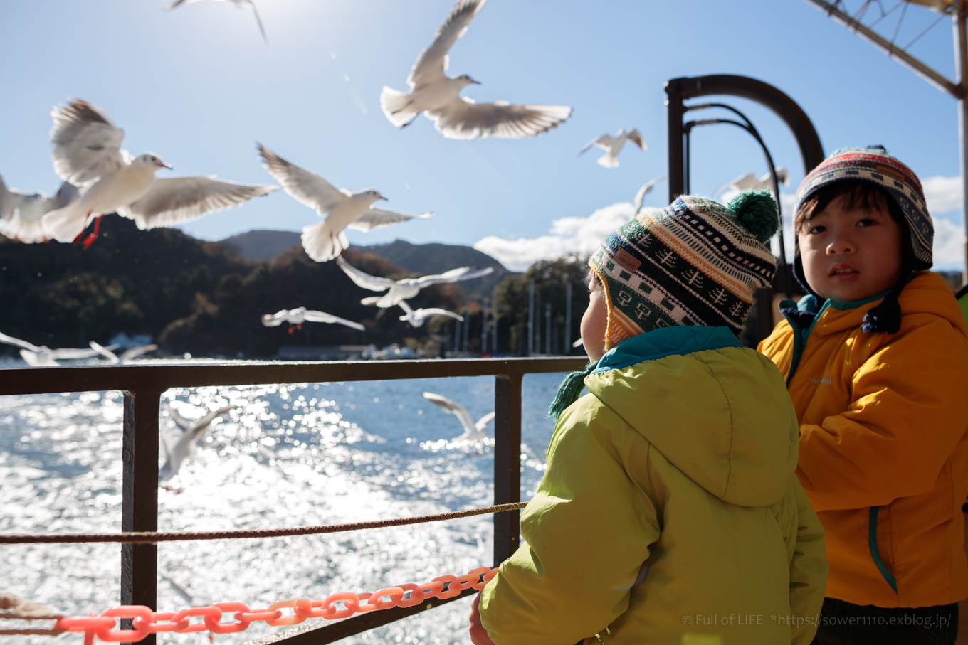 カモメが飛び交う「沼津港湾内めぐり」クルージング : Full of LIFE