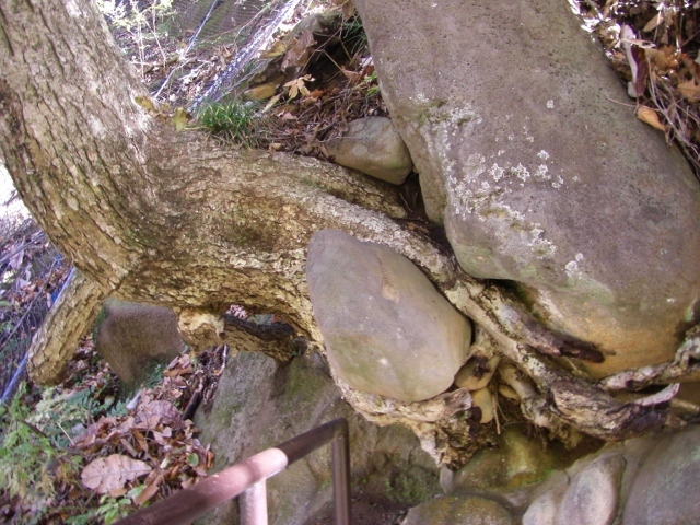 c0074721_14413903.jpg