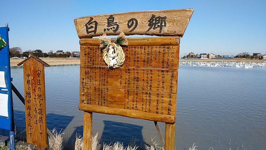a0166324_17401557.jpg