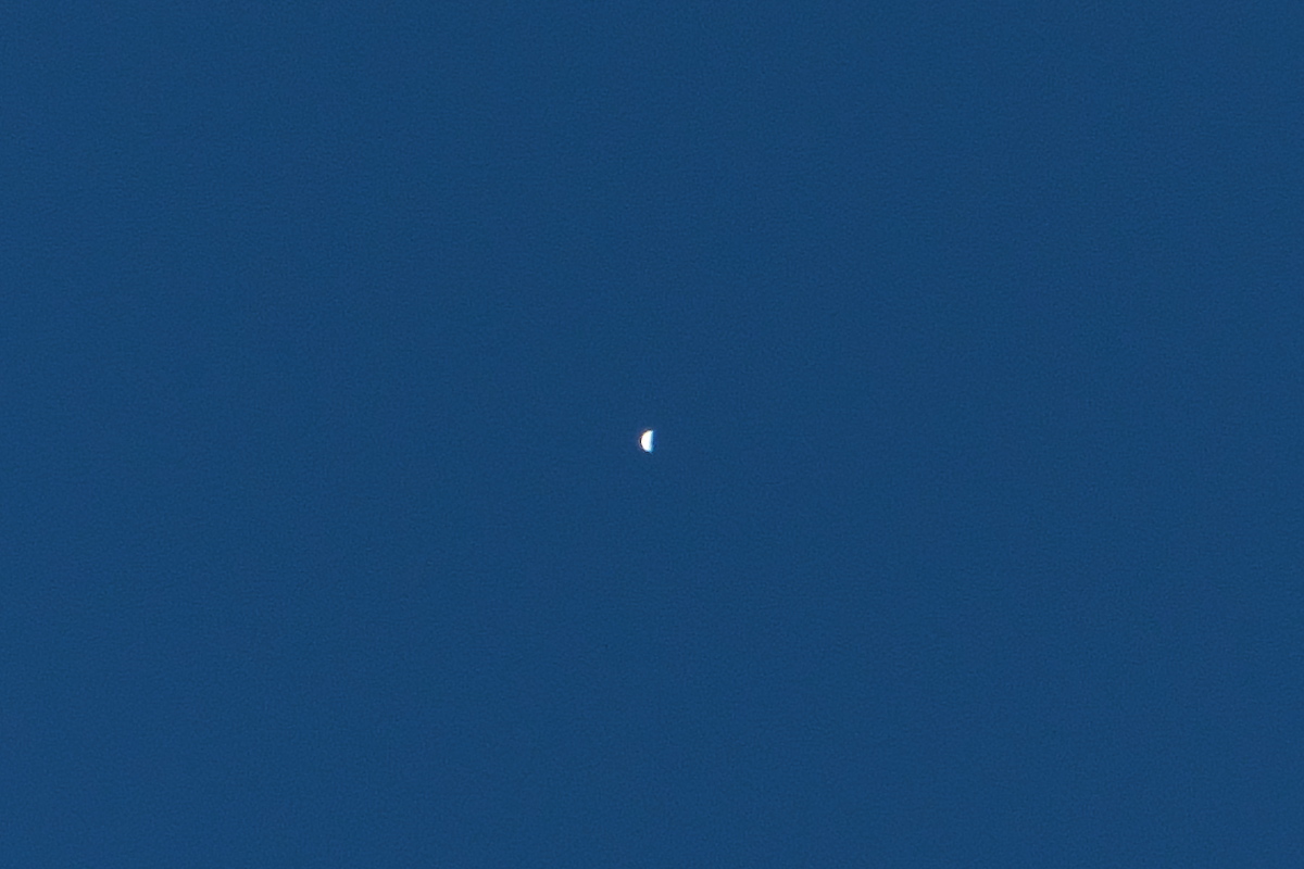 d0137627_22401322.jpg