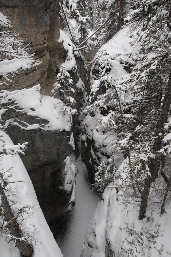 冬ロッキーの魅力全てをあなたに。登りに滑りに盛りだくさんツアー。【1/1/2019】_d0112928_01544159.jpg