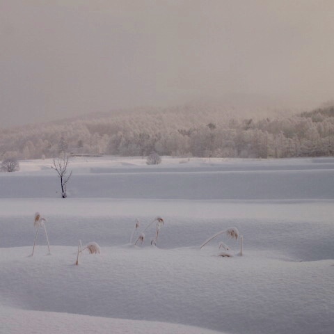 a0329935_10232125.jpeg