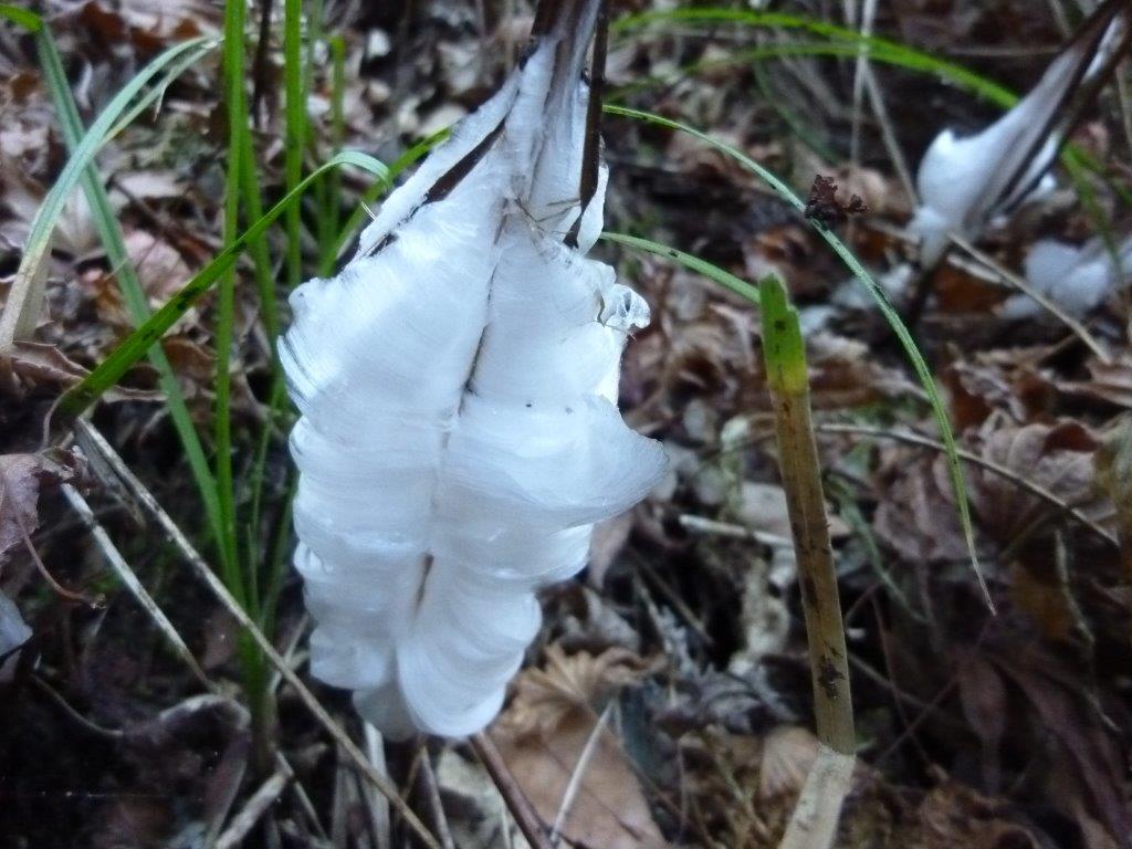 b0298935_22420449.jpg