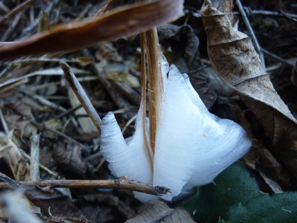 b0298935_22425830.jpg