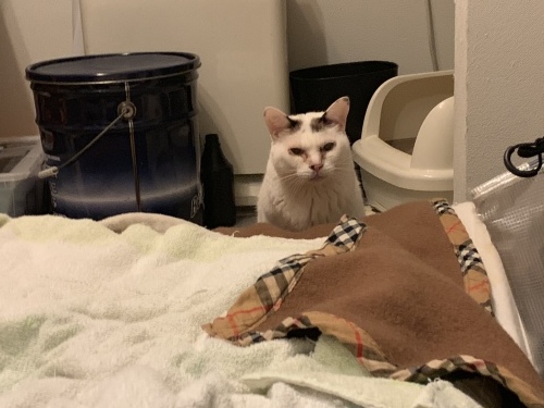 c0342535_23002404.jpeg