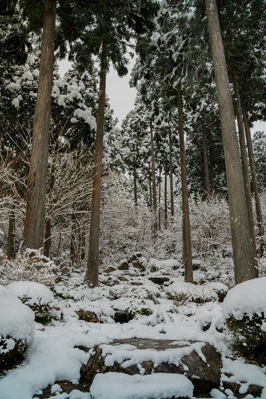 e0363038_13245010.jpg