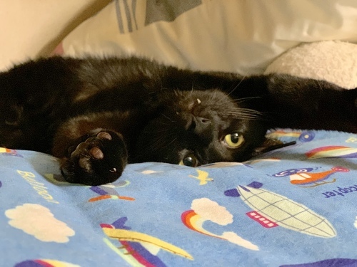 b0341440_23284590.jpeg