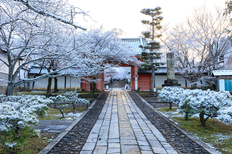 雪の京都　雪の華が彩る真如堂の朝_f0155048_15593912.jpg