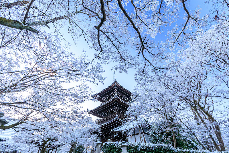 雪の京都　雪の華が彩る真如堂の朝_f0155048_1559413.jpg