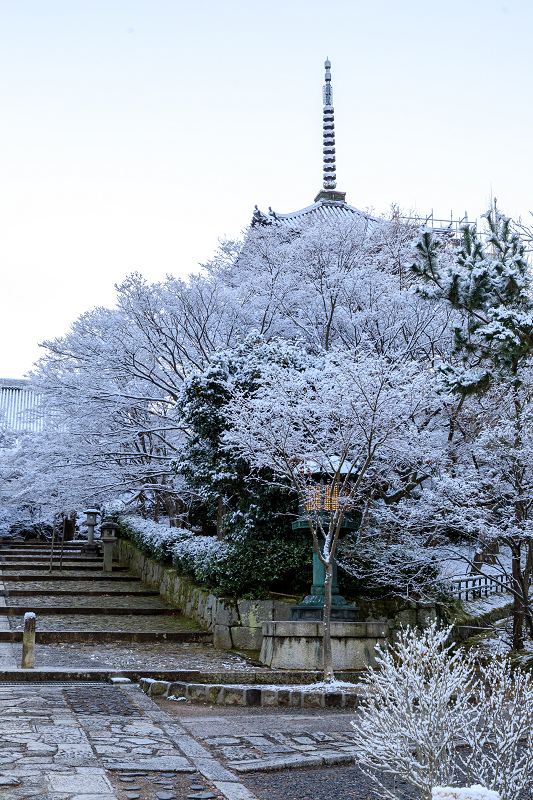 雪の京都　雪の華が彩る真如堂の朝_f0155048_1601349.jpg