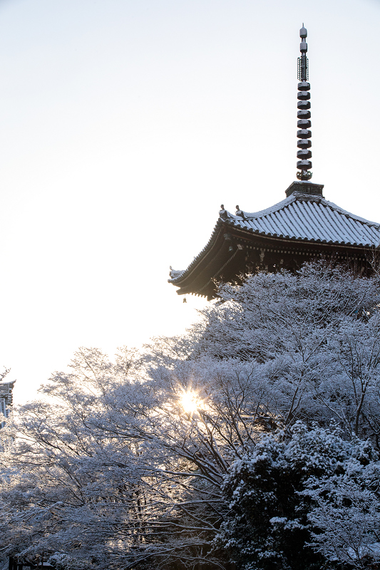 雪の京都　雪の華が彩る真如堂の朝_f0155048_1614363.jpg