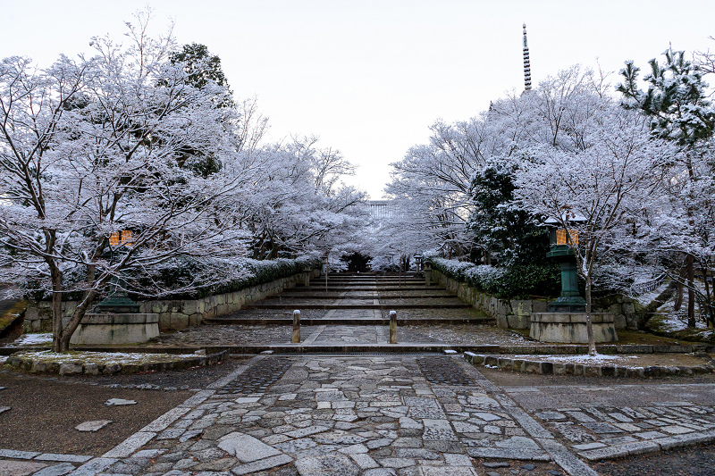 雪の京都　雪の華が彩る真如堂の朝_f0155048_162581.jpg