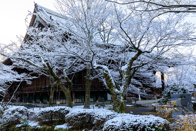 雪の京都　雪の華が彩る真如堂の朝_f0155048_1654291.jpg