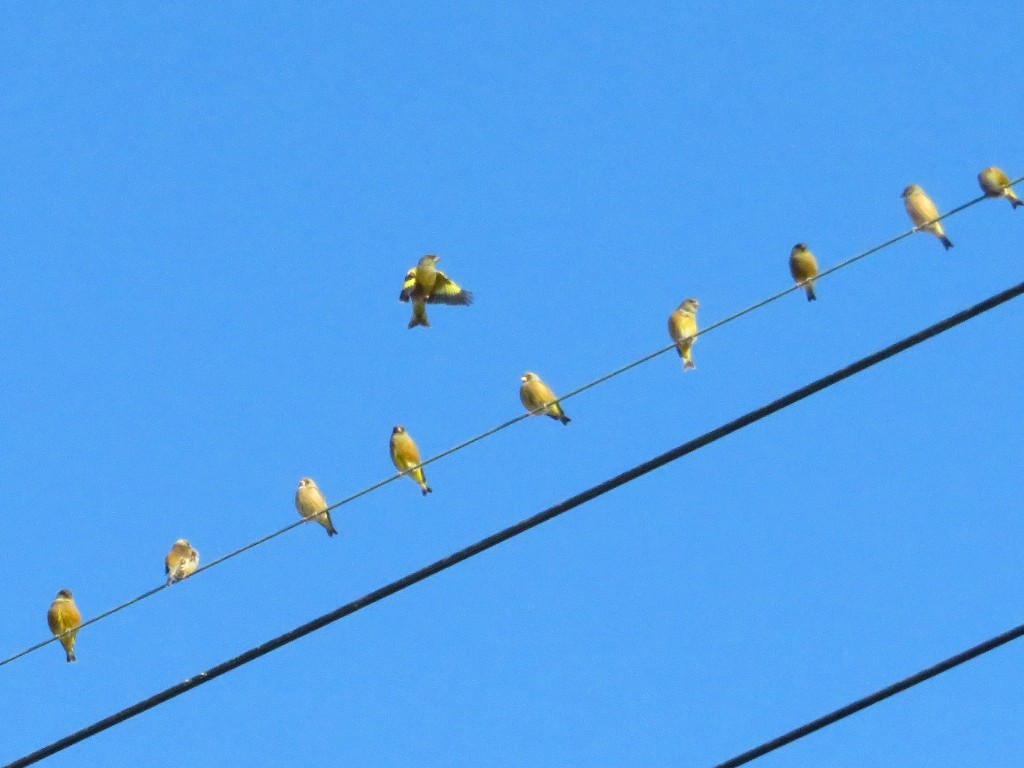 a0018655_09294913.jpg