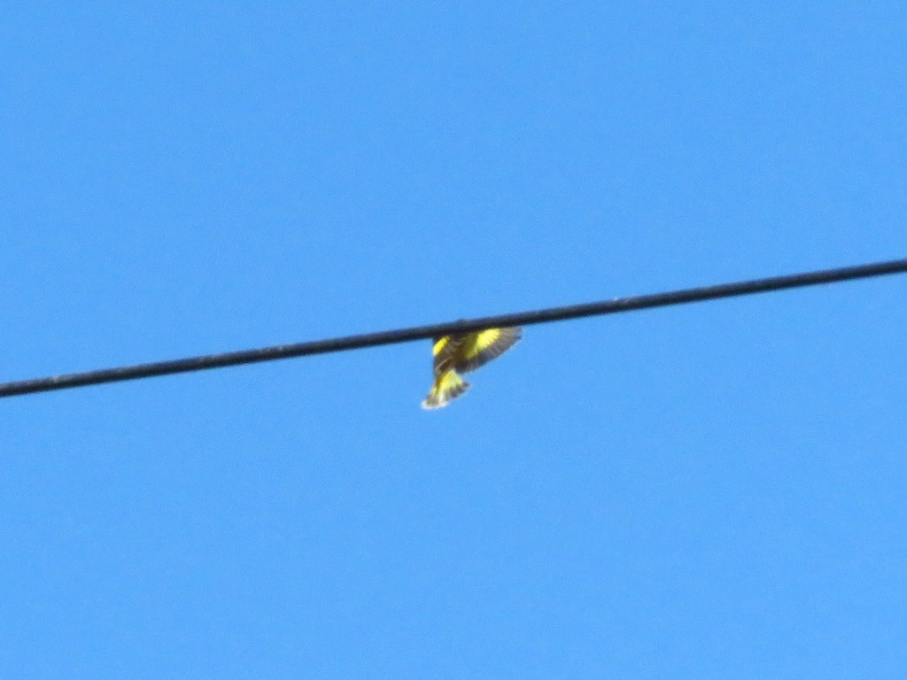 a0018655_09294951.jpg