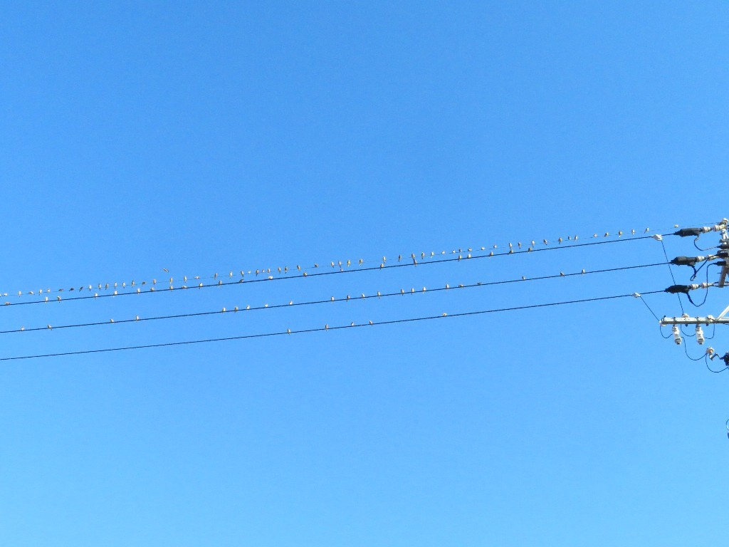 a0018655_09312540.jpg