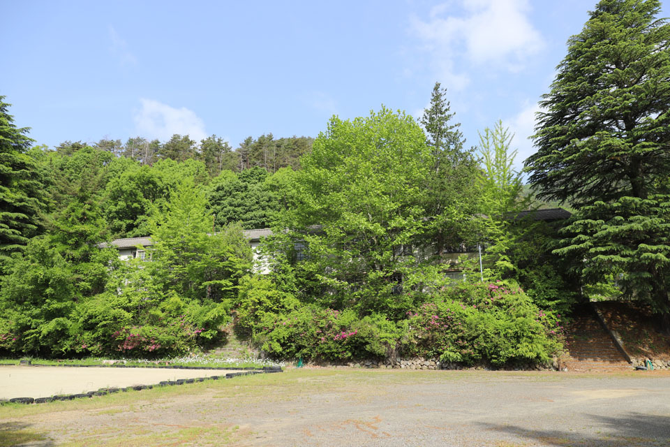 f0395158_17444982.jpg