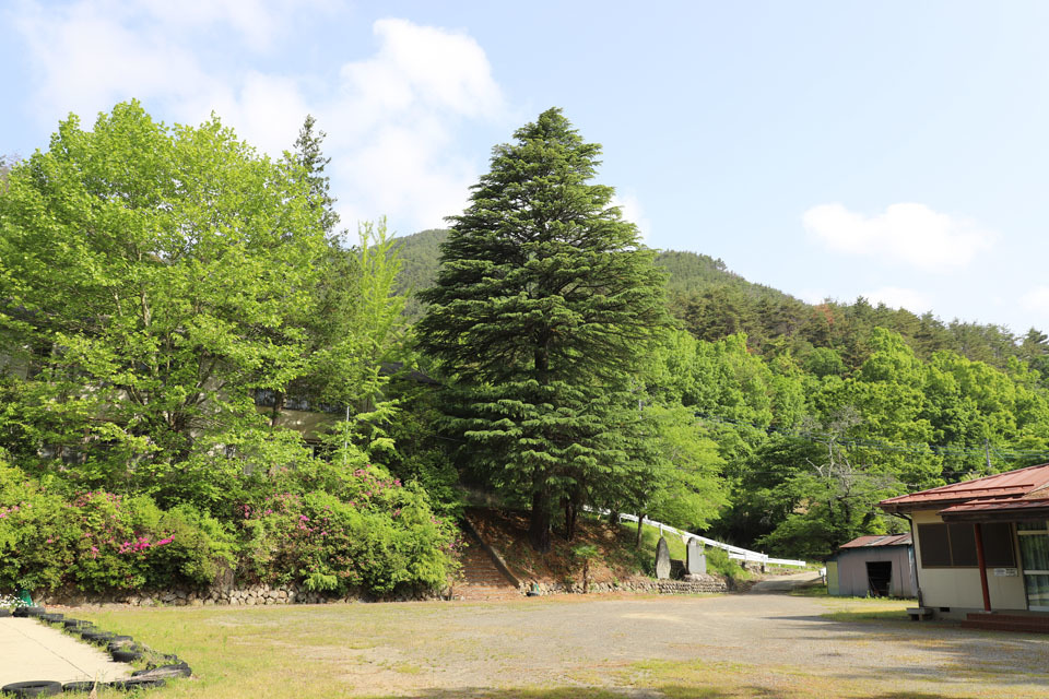 f0395158_17445379.jpg