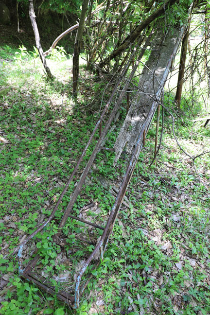 f0395158_18040292.jpg